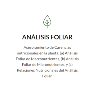 1.1 Hoja Analisis foliar
