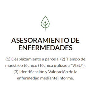 1.1 Hoja Valoracion Enfermedades OK