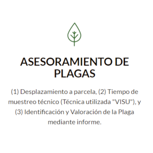 1.1 Hoja Valoracion Plagas OK