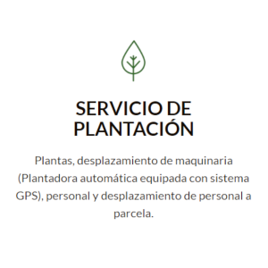 2 Hoja Servicio Plantacion OK