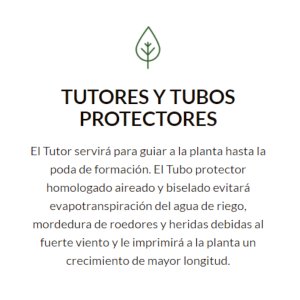 Suministro Tutor y Tubo Protector