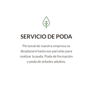 Servicio de Poda