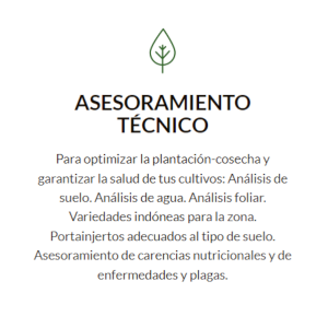 Asesoramiento Técnico