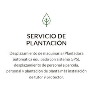 Servicio de Plantación