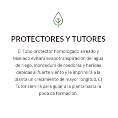 1.03 Hoja Protectore Tutores