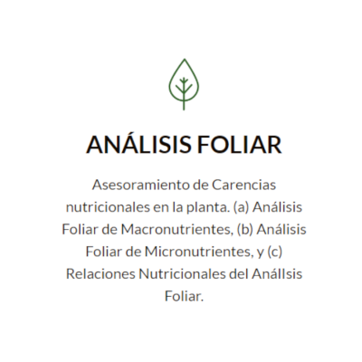 1.1 Hoja Analisis foliar