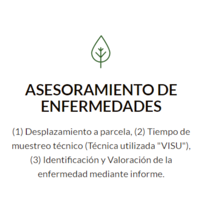 1.1 Hoja Valoracion Enfermedades OK