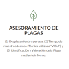13. ASESORAMIENTO DE PLAGAS (1 referencia)