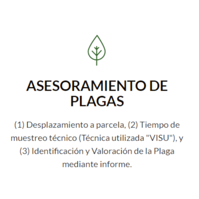 1.1 Hoja Valoracion Plagas OKk