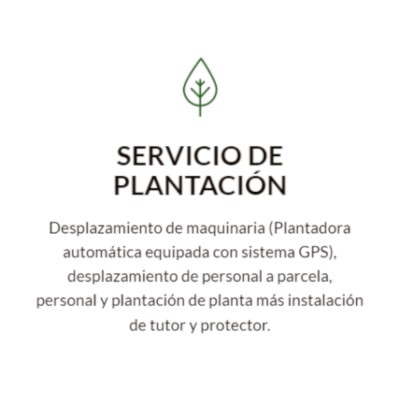 2 Hoja Servicio Plantacion OK4