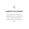 18. INJERTO EN CAMPO (1 referencia)